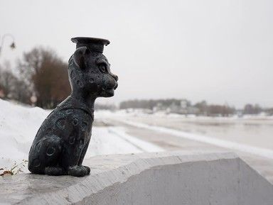 Барсики