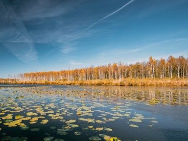 Березинский заповедник