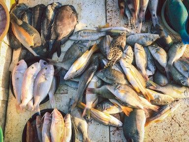 Джимбаранский рыбный рынок