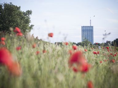 Гостиница Москва