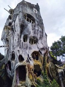 Отель Crazy House