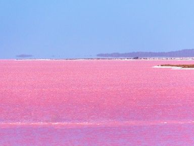 Розовые озёра