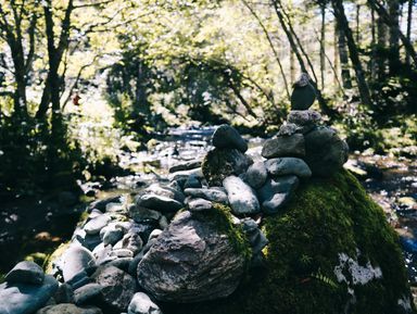 Сад камней