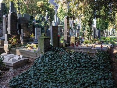 Вышеградское кладбище